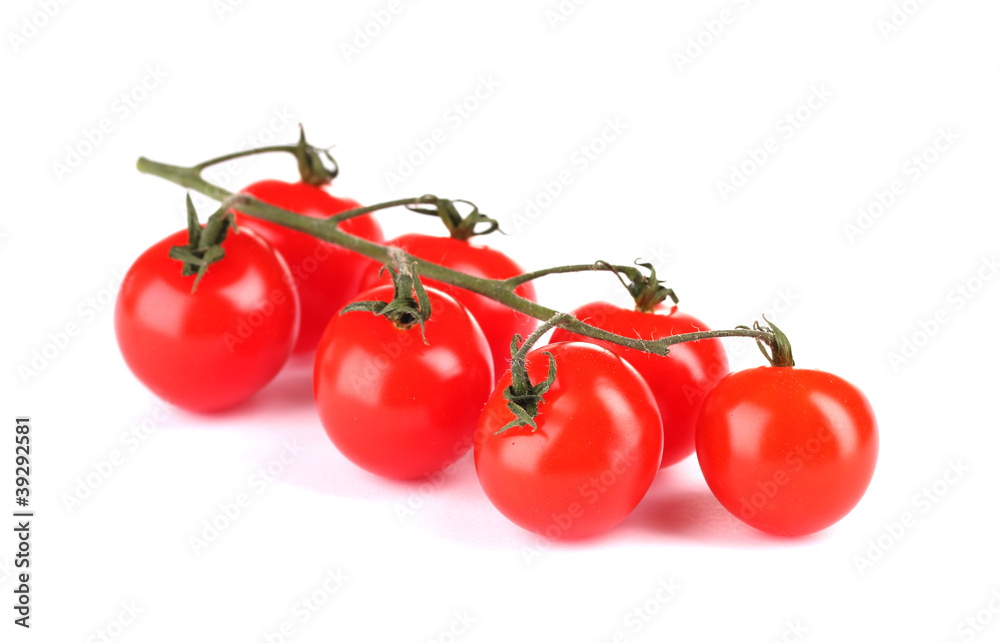 Beautiful cherry tomatoes on a branch isolated on white Beautiful cherry tomatoes on a branch isolated on white