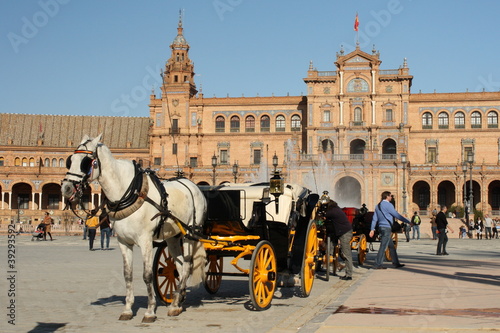 white horse carriage in Seville