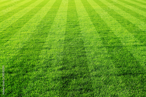 Obraz na płótnie Trawiasta murawa na boisku do piłki nożnej