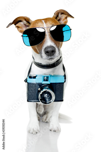 dog photo camera © Javier brosch
