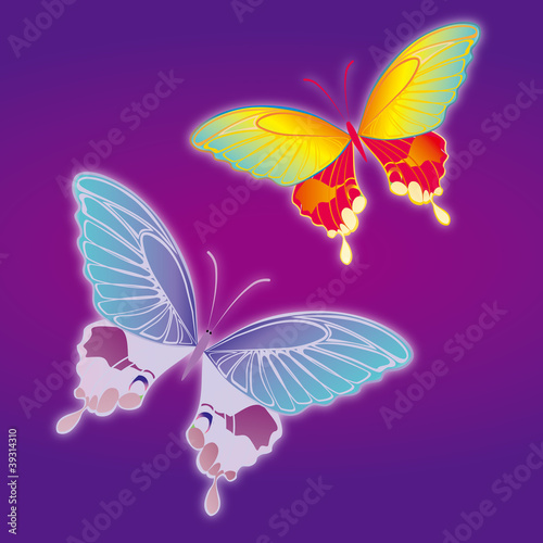Colored Butterflies