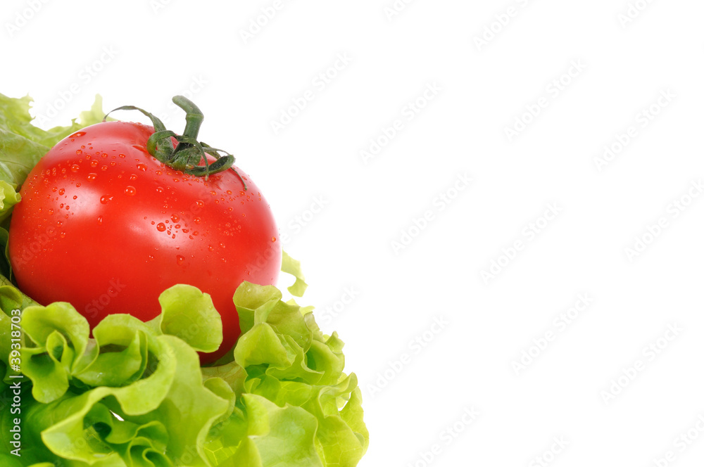 red tomato with green salad isolated on the white background red tomato with green salad isolated on the white background