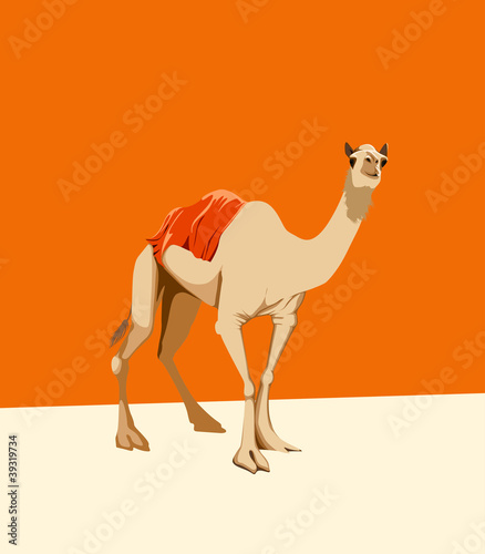 camel on an orange background