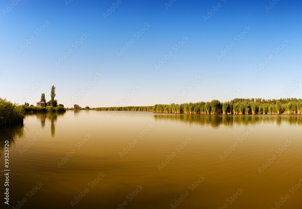 Fototapeta premium Village with pasture near the blue river
