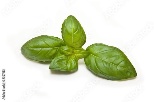 Fresh Basil leaves