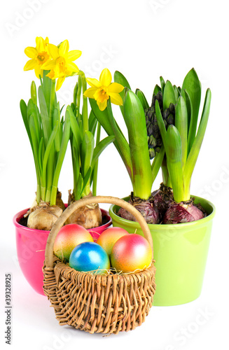 narcissus and hyacinth with easter eggs