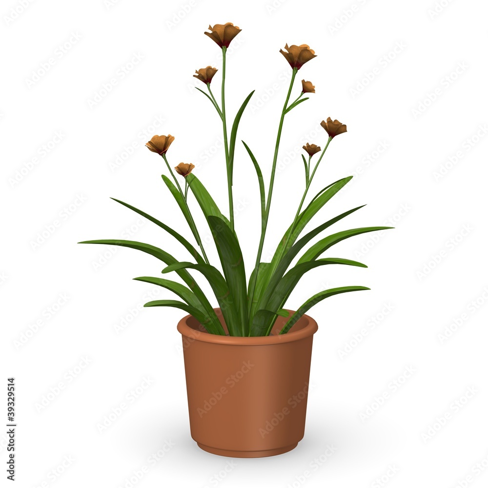 3d render of anighozantos plant