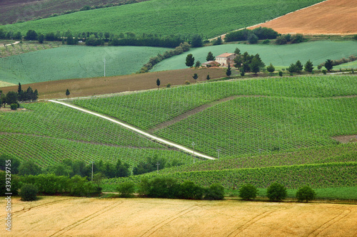 Fermo, campagna marchigiana photo