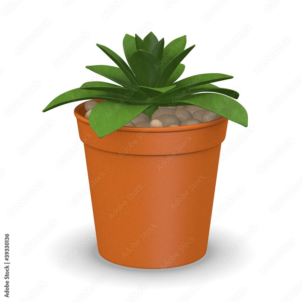 3d render of succulent plant 3d render of succulent plant