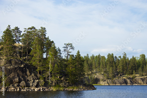 Green trees by the lake on a sunny day  with clouds on the sky