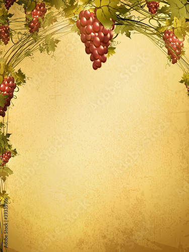 red grape at grunge background