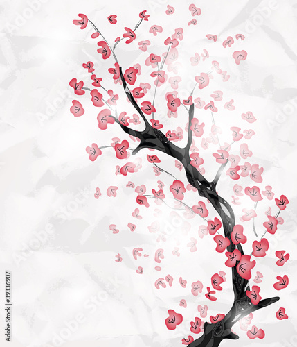 cherry blossom with space for text