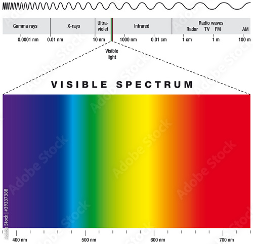 Electromagnetic spectrum and visible light. Electromagnetic spectrum of possible frequencies of electromagnetic radiation with colors of the visible spectrum. Illustration on white background. Vector. photo