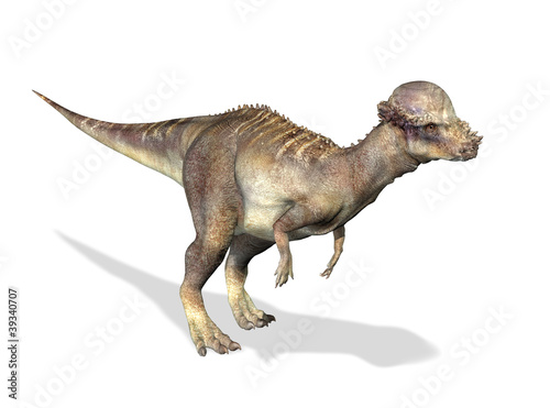 Photorealistic 3 D rendering of a Pachycephalosaurus. photo