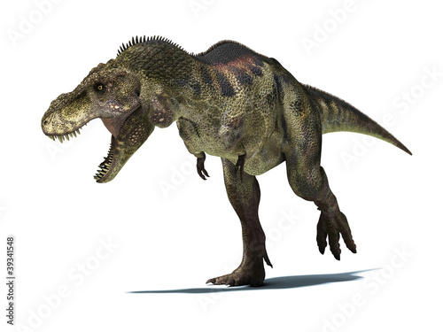 Fototapeta Naklejka Na Ścianę i Meble -  Tyrannosaurus Rex, isolated on white background with clipping pa