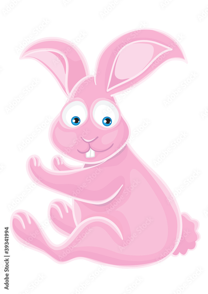 Rabbit on a white background. Rabbit on a white background.