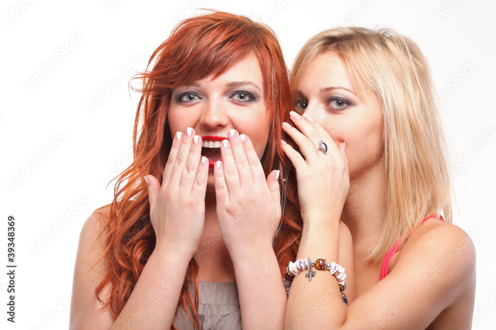 society gossip - two happy young girlfriends talking white backg society gossip - two happy young girlfriends talking white backg