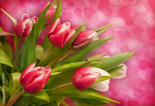 Fototapeta Naklejka Na Ścianę i Meble -  Pink tulips on background