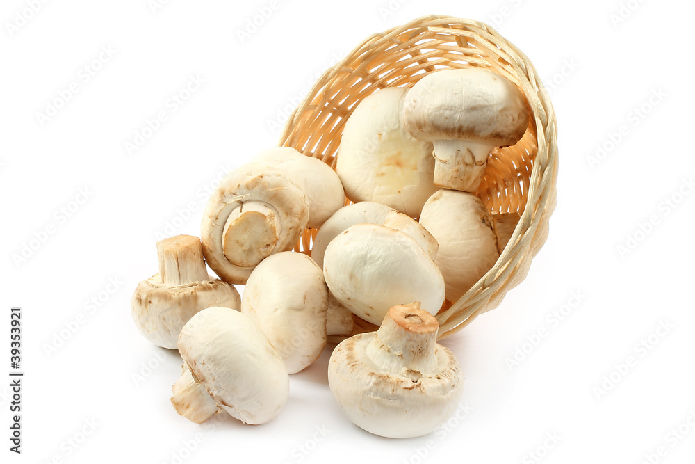 Fototapeta premium Champignons pouring out of wicker plate on white background