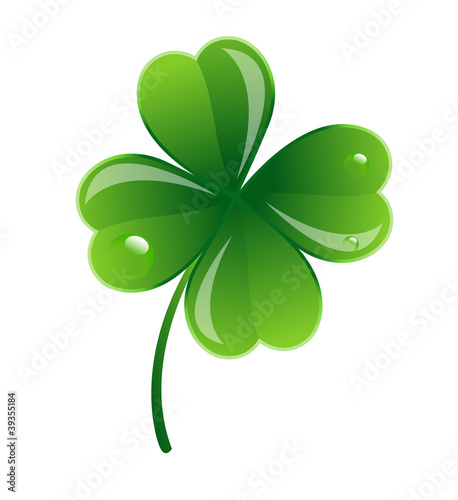 Glossy Clover Leaf