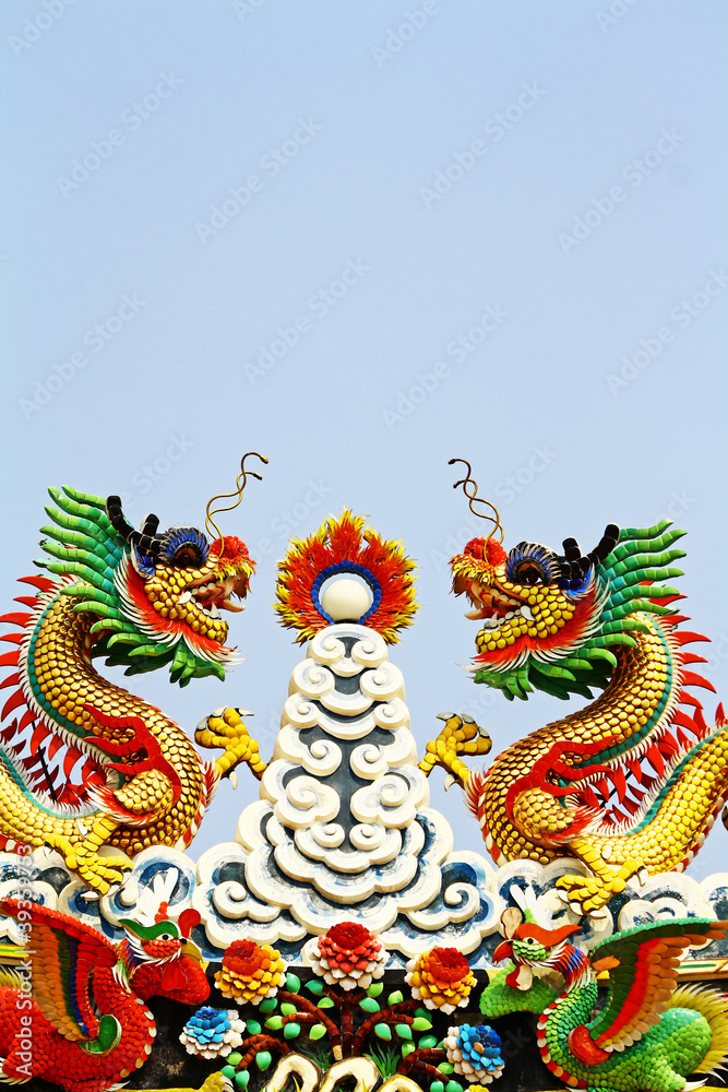 Fototapeta premium dragon