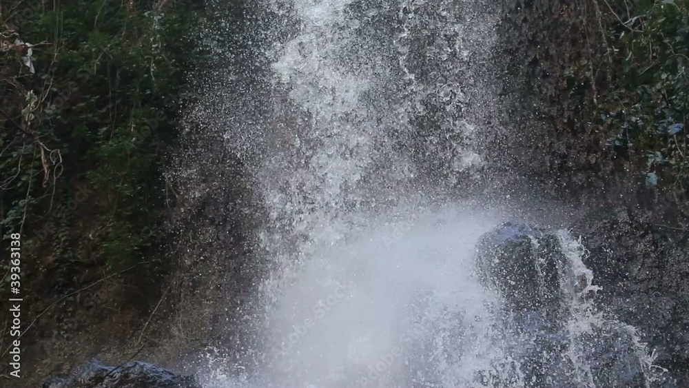 pure fresh water waterfall in forest