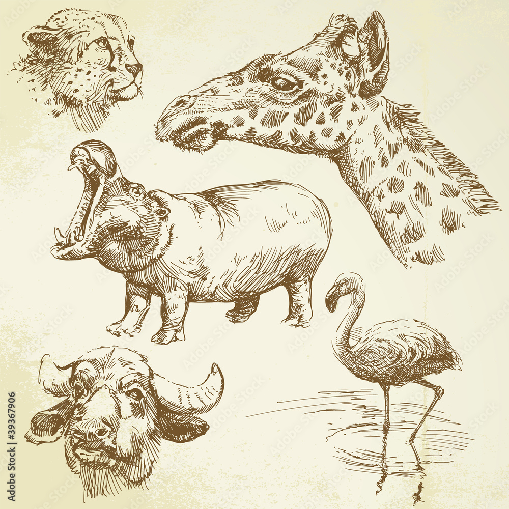 Fototapeta premium wild animals - hand drawn set