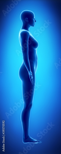 Female figure in anatomical position lateral  view