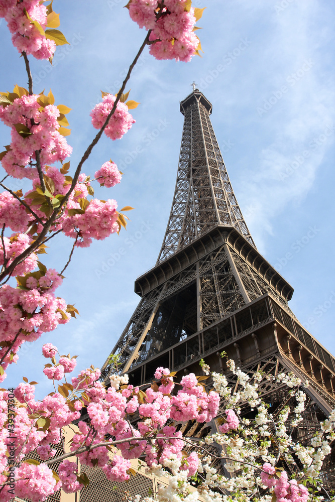 Naklejka premium Wieża Eiffla wiosną w Paryżu we Francji