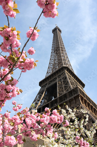 Eiffel Tower during spring time  in Paris, France #39373304
