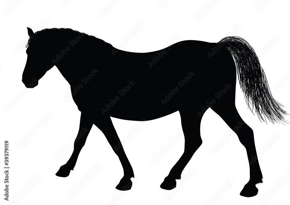 Detailed horse silhouettes