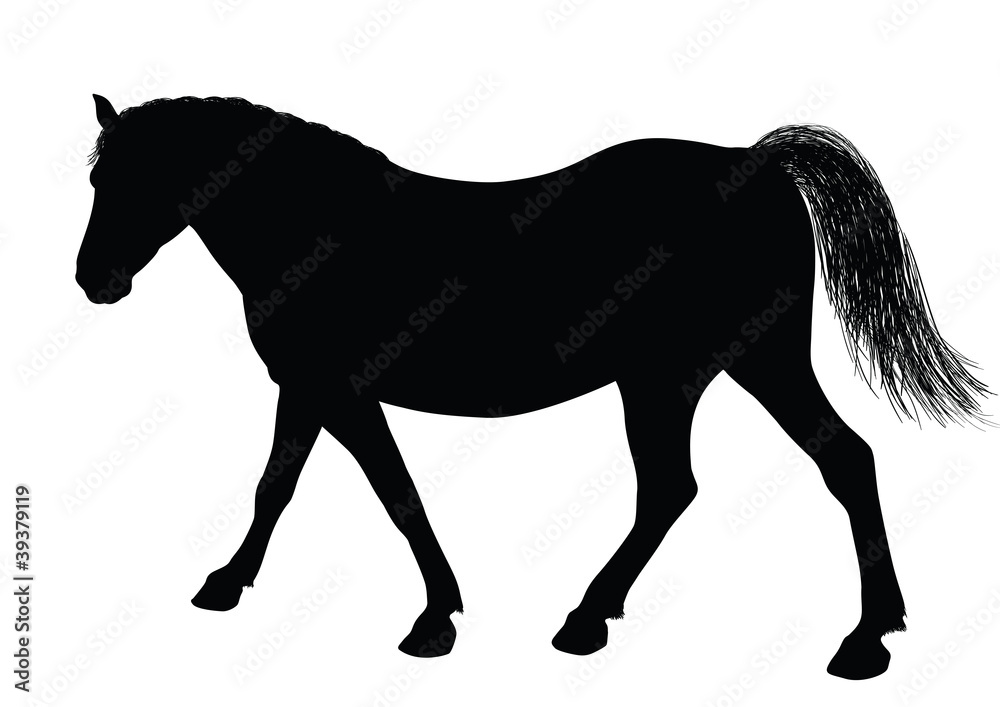 Obraz premium Detailed horse silhouettes
