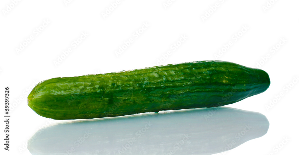 long cucumber isolated on white long cucumber isolated on white