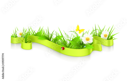 Ribbon in the grass