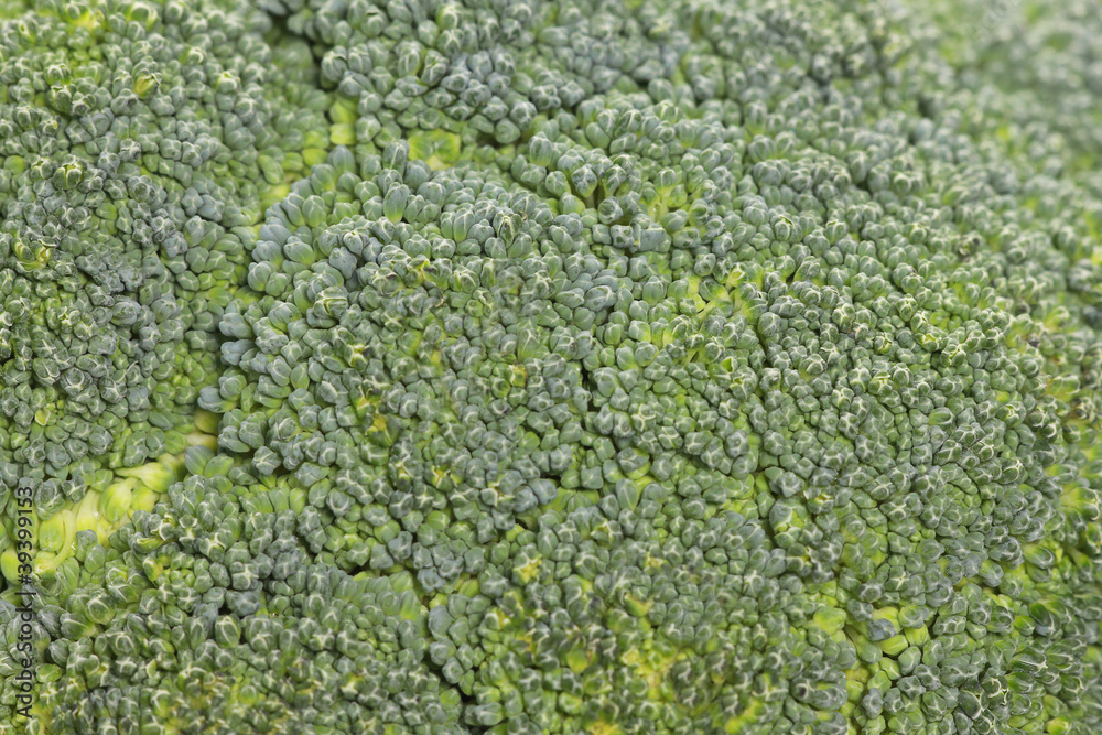 Close up broccoli Close up broccoli