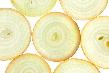 Keuken achterwand Plakjes fruit Verse uienringen macro met tegenlicht  © Taiga