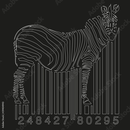 zebra