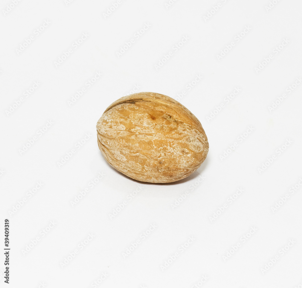 One whole Walnut on white background One whole Walnut on white background