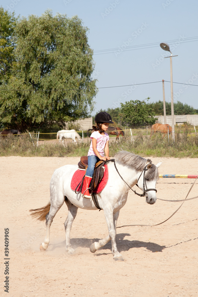 Little Girl Taking Horseback Riding Lessons Little Girl Taking Horseback Riding Lessons