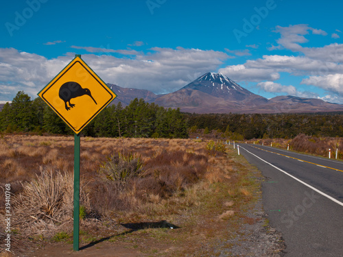 Kiwi sign photo