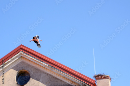 flying stork fly to nest on chimney building roof