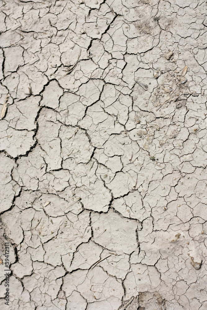 monochrome background texture abstraction monochrome background texture abstraction