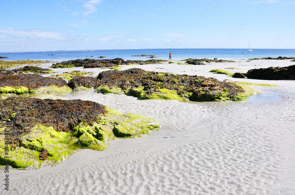 plage des grands sables 19