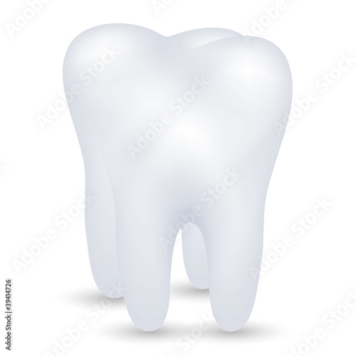 vector tooth