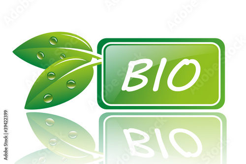 BIO12