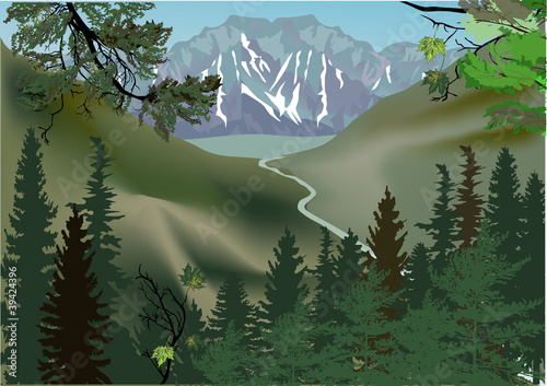 stream in forest near mountains