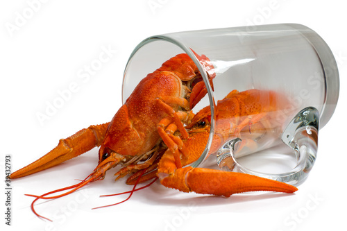 Boiled crayfish in a beer mug, isolated on a white background. photo