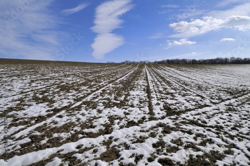 Melting snow on the plowed field