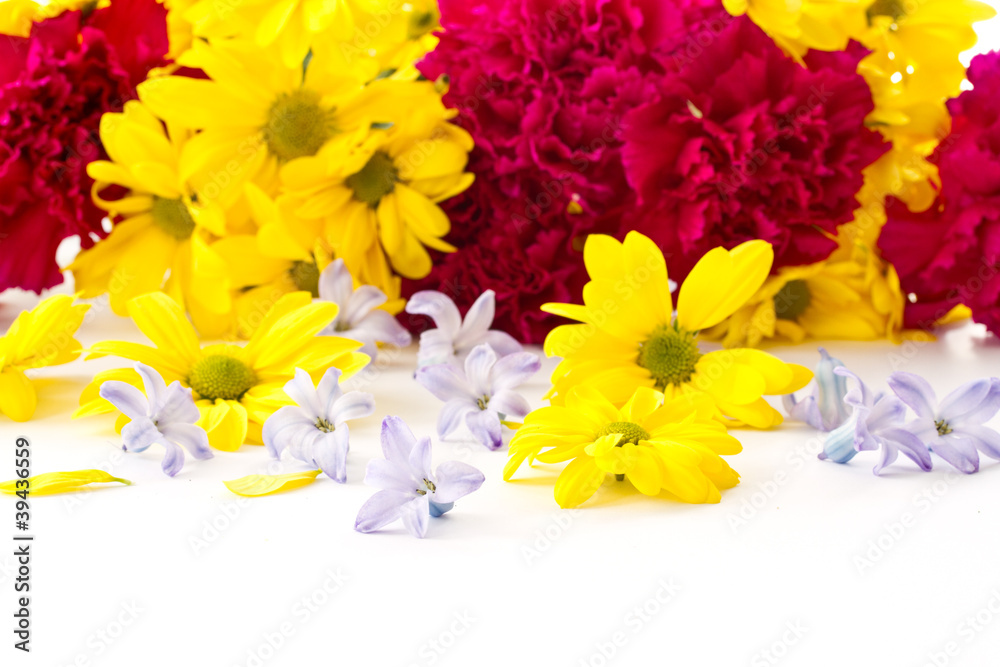 chrysanthemum flowers, hyacinth and carnation