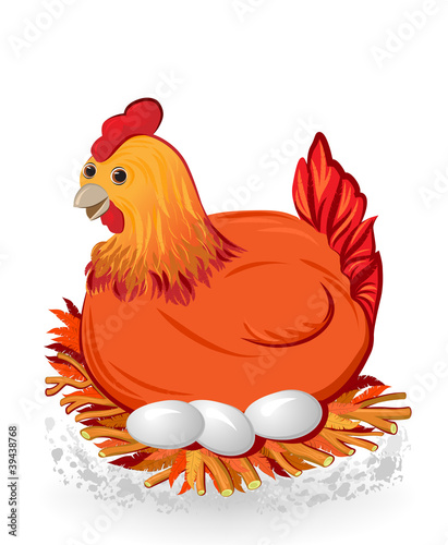 sitting chicken with eggs on the nest